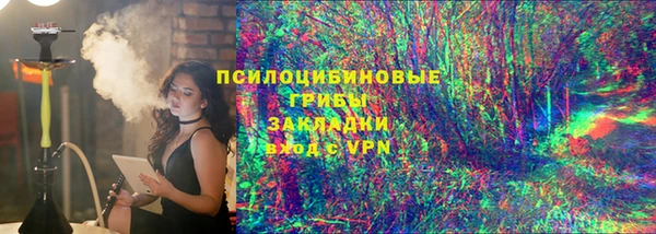 сатива Белокуриха