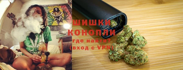 сатива Белокуриха