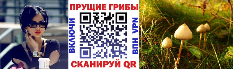 Галлюциногенные грибы Magic Shrooms  Славгород 