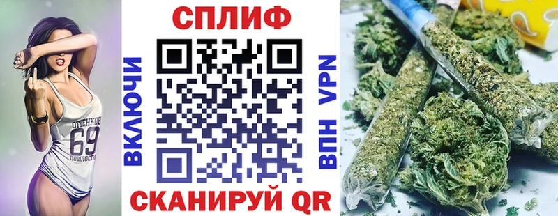 МАРИХУАНА SATIVA & INDICA  купить наркоту  Славгород 